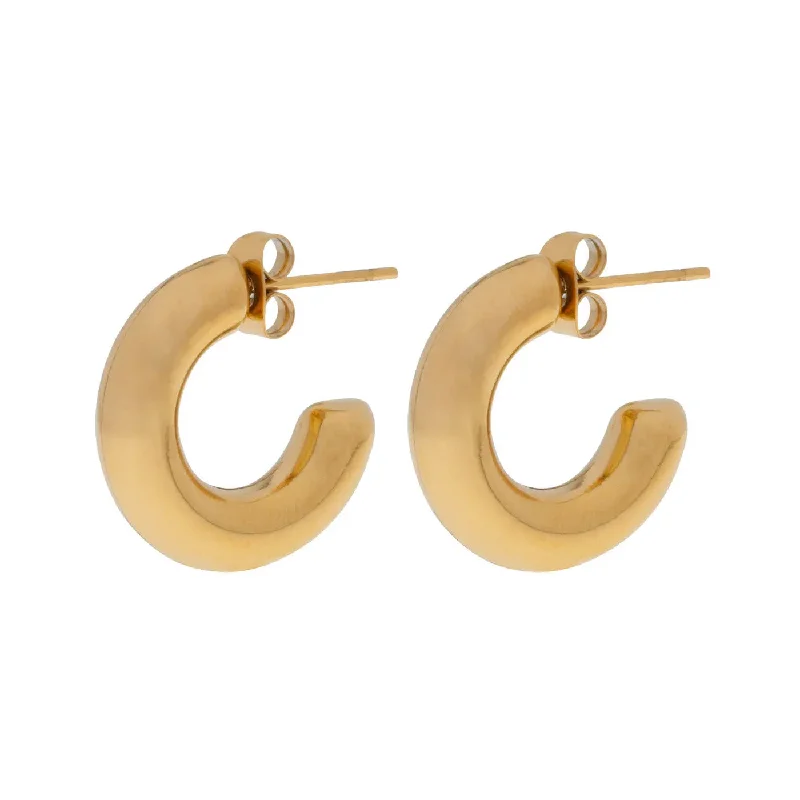 Small wing earrings-Alexandra - Classical Gold Hoop Earrings Stainless Steel