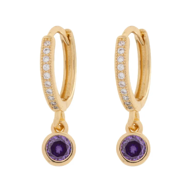 Freeform design earrings-Dina - Purple Crystal Hoop Earrings