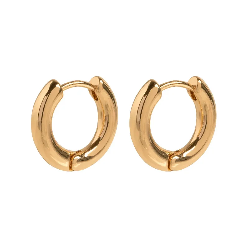 Textured disc earrings-Basic Medium Hoop Earring - Gold